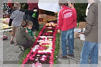 IMG_7494.JPG