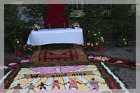 IMG_7501.JPG