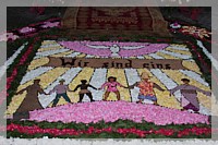 IMG_7507.JPG