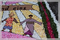IMG_7511.JPG