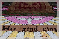 IMG_7515.JPG