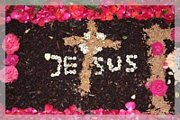 IMG_7516.JPG