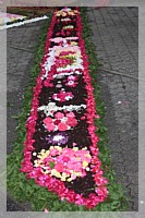 IMG_7518.JPG