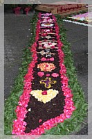 IMG_7519.JPG