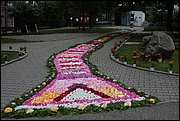 IMG_7620.JPG