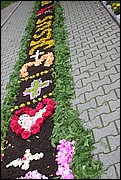 IMG_7621.JPG
