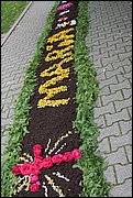IMG_7622.JPG