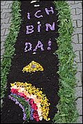 IMG_7624.JPG