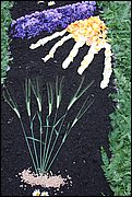 IMG_7625.JPG