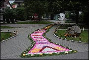 IMG_7642.JPG