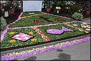 IMG_7643.JPG