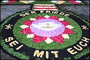IMG_7649.JPG