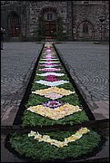 IMG_7651.JPG