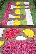 IMG_7674.JPG