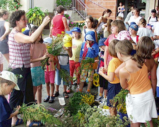 zur�ck zur �bersicht ....  anklicken