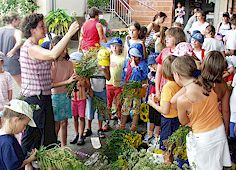 Anklicken f�r gr��ere Ansicht (60 - 90 KB)  ........