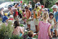 Anklicken f�r gr��ere Ansicht (60 - 90 KB)  ........