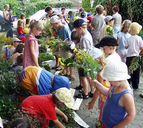 zur�ck zur �bersicht ....  anklicken