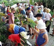 Anklicken f�r gr��ere Ansicht (60 - 90 KB)  ........