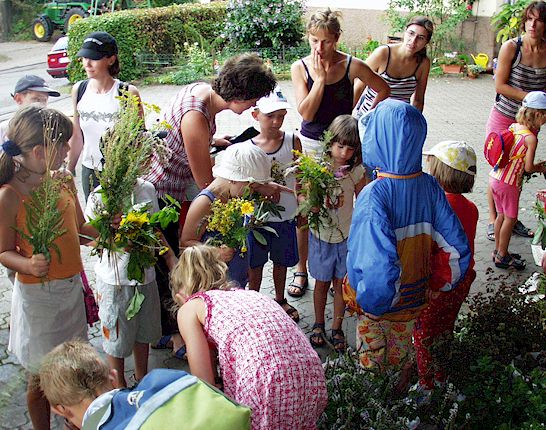 zur�ck zur �bersicht ....  anklicken