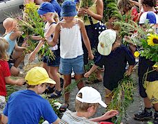 Anklicken f�r gr��ere Ansicht (60 - 90 KB)  ........