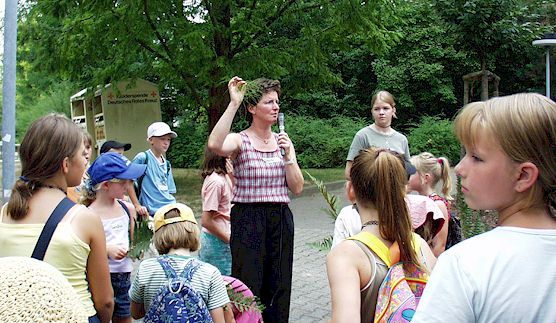 zur�ck zur �bersicht ....  anklicken