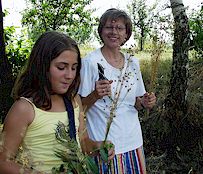 Anklicken f�r gr��ere Ansicht (60 - 90 KB)  ........