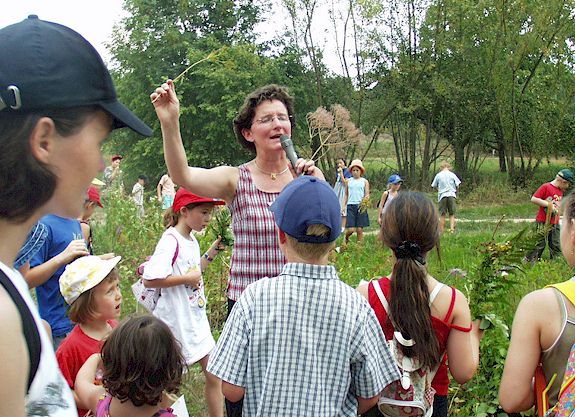 zur�ck zur �bersicht ....  anklicken