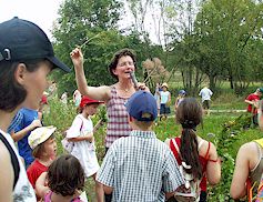 Anklicken f�r gr��ere Ansicht (60 - 90 KB)  ........