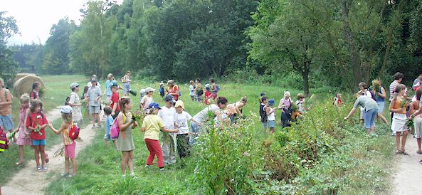 zur�ck zur �bersicht ....  anklicken