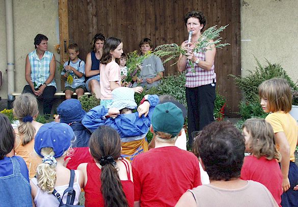 zur�ck zur �bersicht ....  anklicken