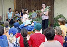 Anklicken f�r gr��ere Ansicht (60 - 90 KB)  ........